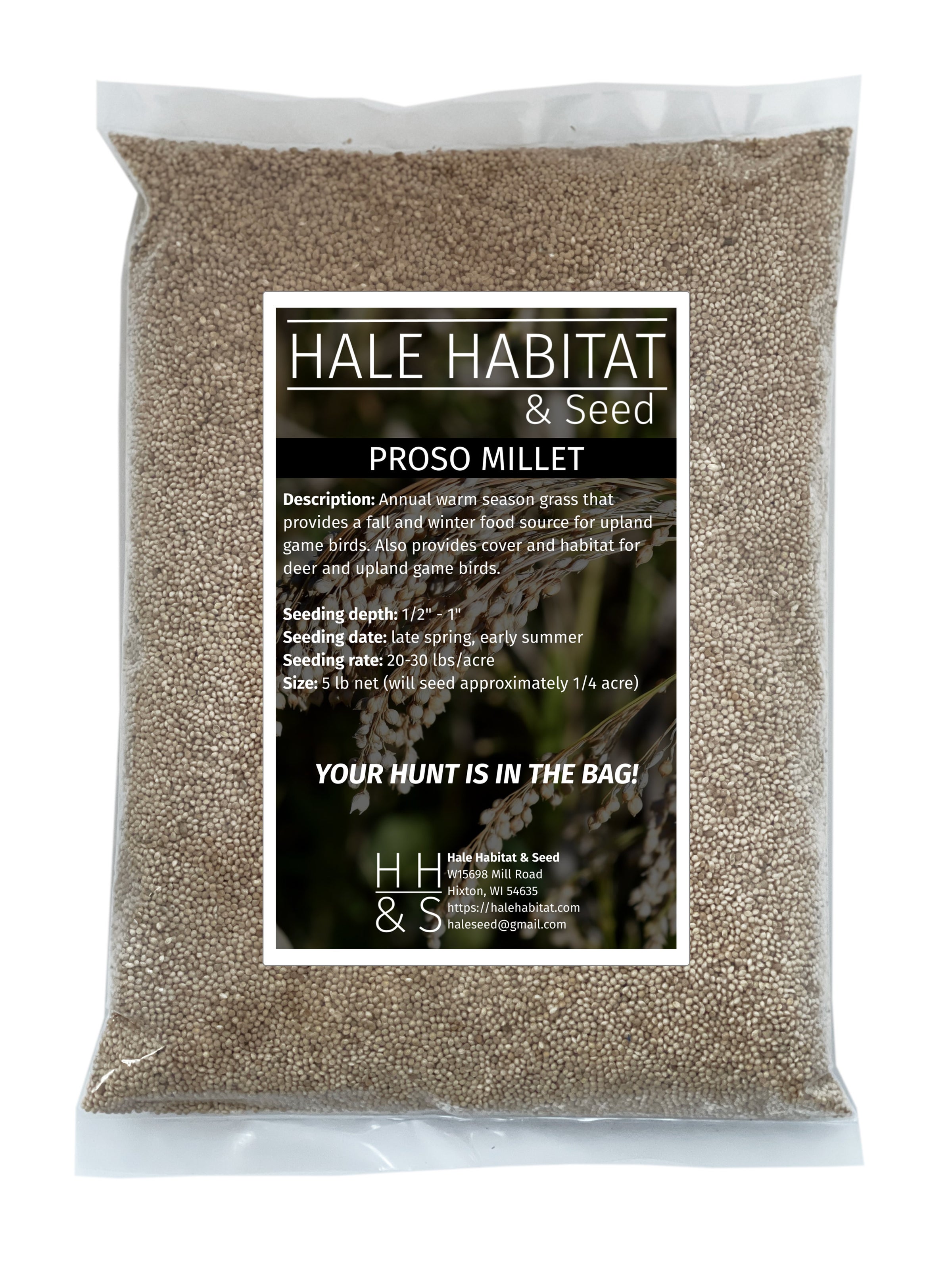 Proso Millet - 5 lb | Hale Habitat & Seed